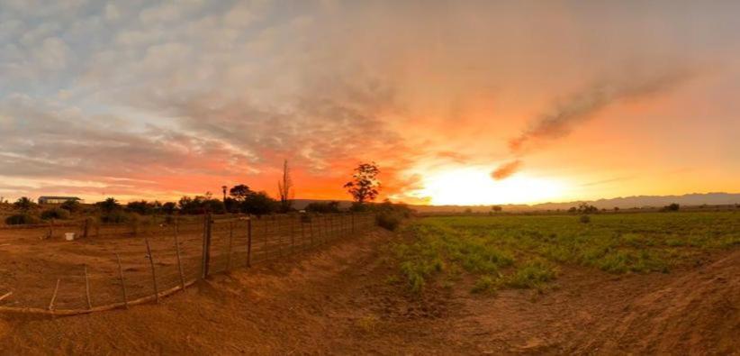 Appartamento Pureplaas Self Catering Volmoed Oudtshoorn Klein Karoo Esterno foto
