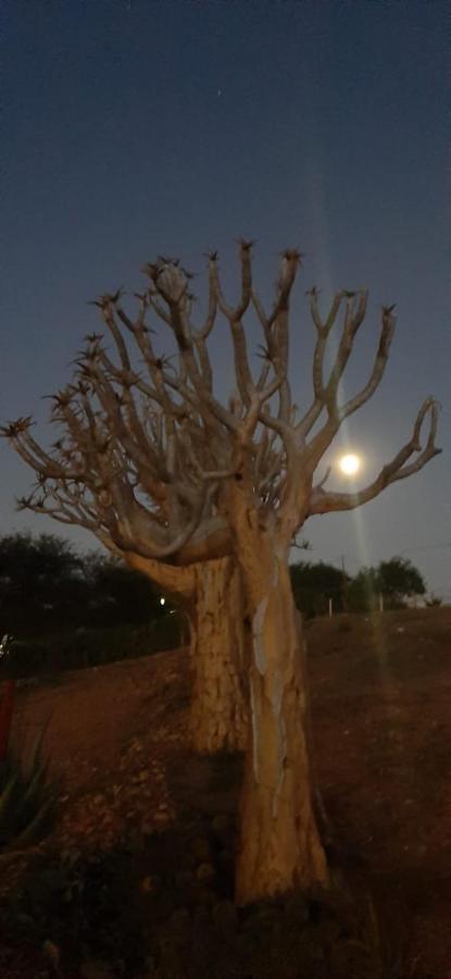 Appartamento Pureplaas Self Catering Volmoed Oudtshoorn Klein Karoo Esterno foto